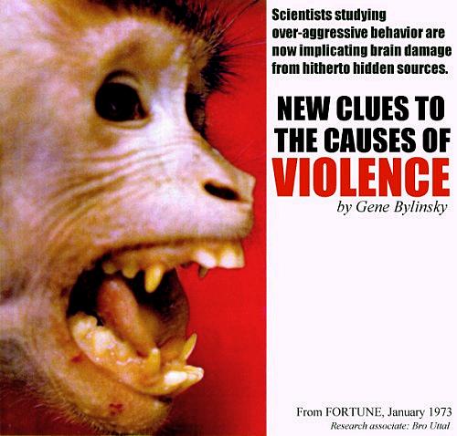 New Clues to the Causes of Violence